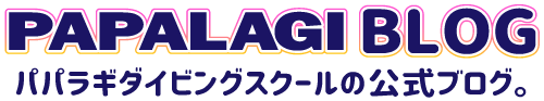 PAPALAGI BLOG