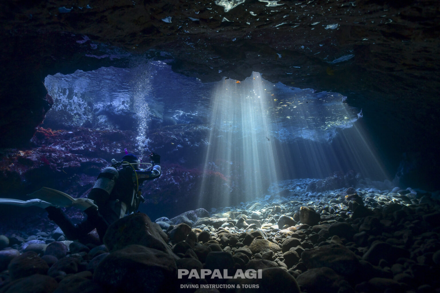 平日新春祭富戸ビーチ