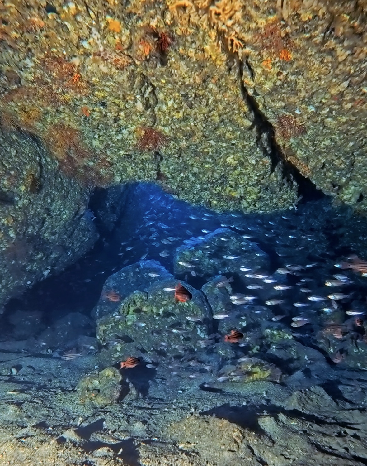 年越し菖蒲沢ボート＆ビーチツアー