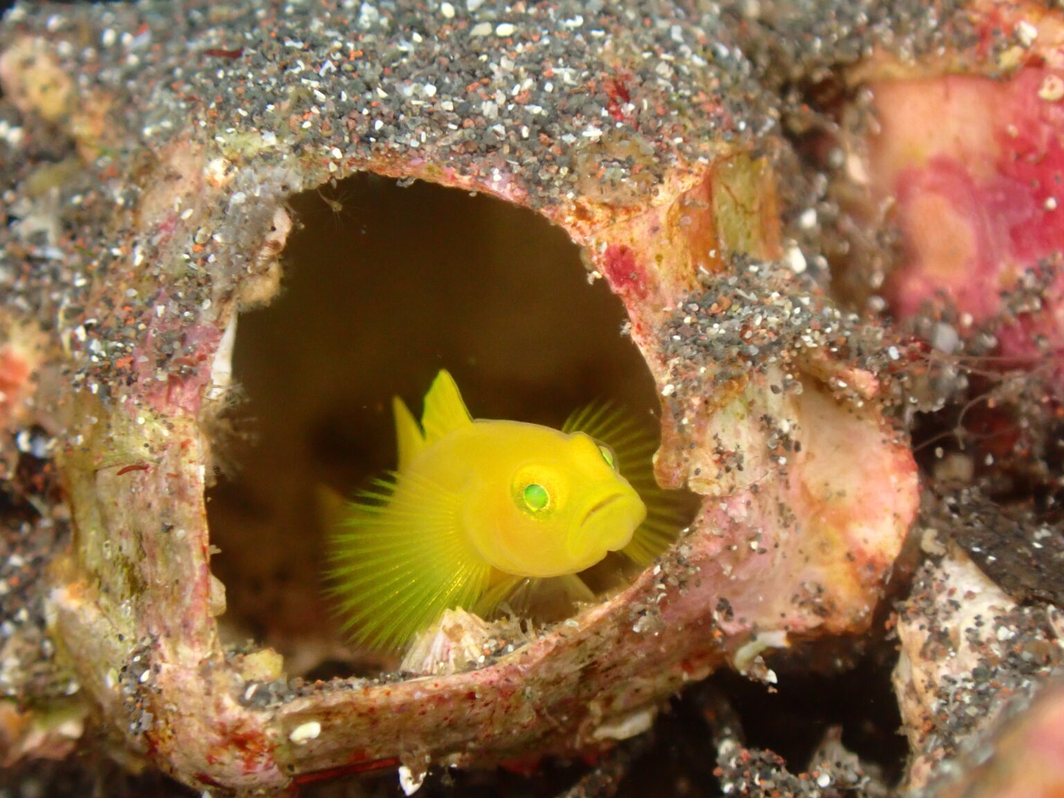 今年もグルメツアー開幕
