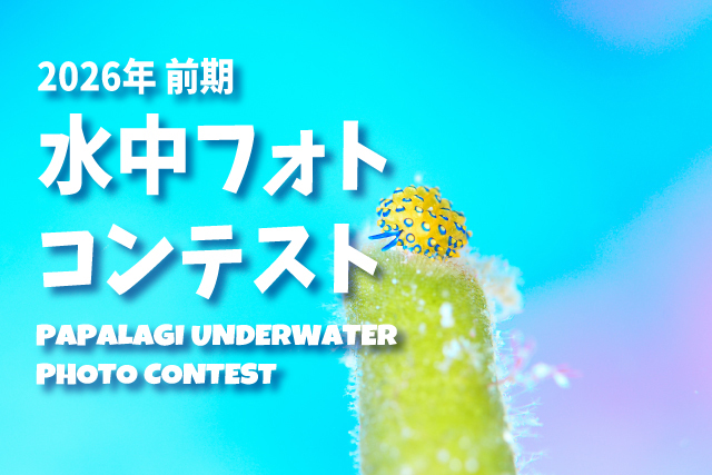 フォトコン投票がはじまります。