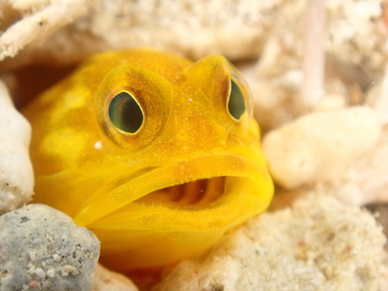 沖縄那覇マクロツアー