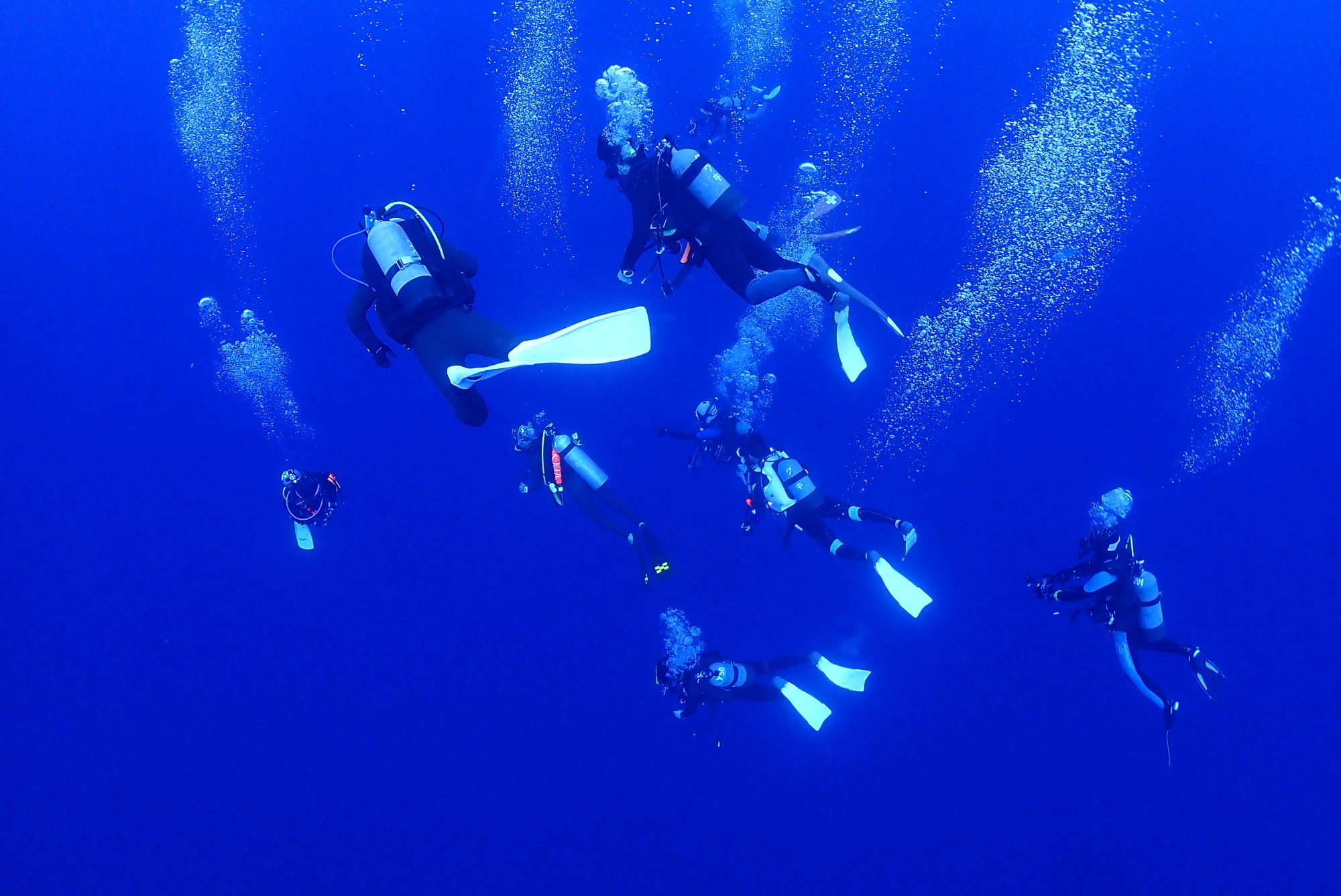 与那国ツアー行ってきました