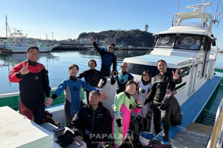 江ノ島活動報告