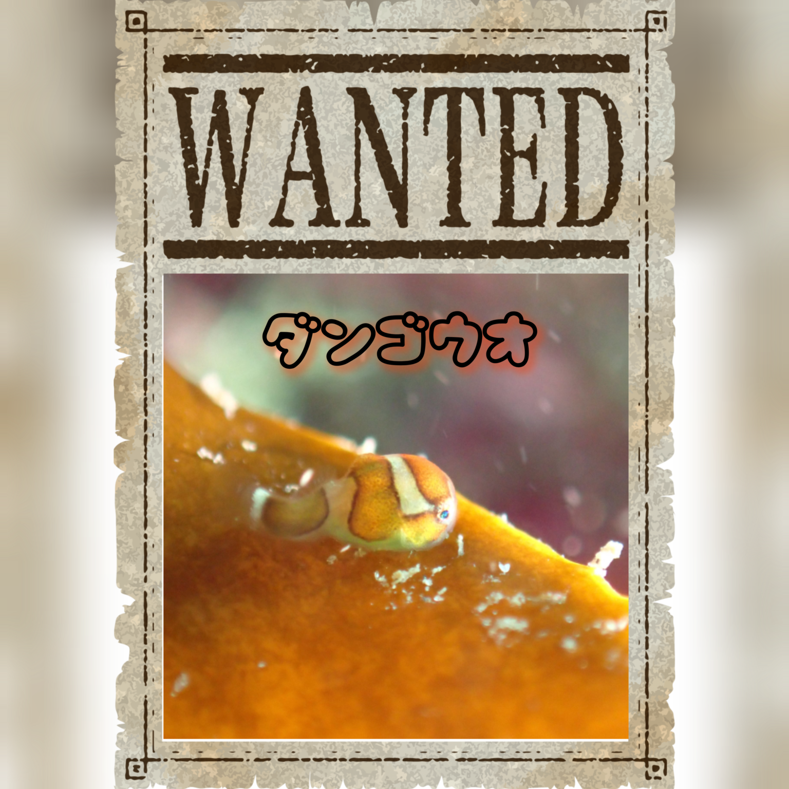 WANTED！lunpfish