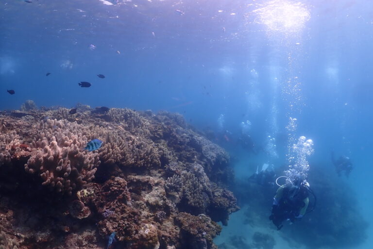 沖縄本島ツアー