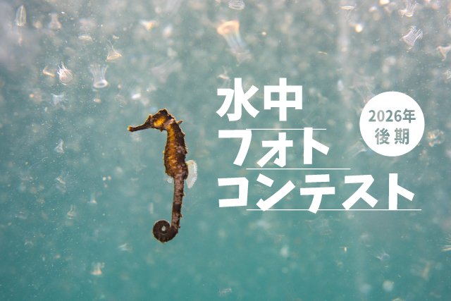 2026年後期パパラギ フォトコン応募はされましたか？