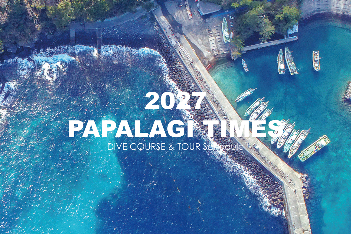 2027年度 PAPALAGI TIMESが出来上がりました
